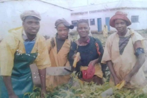 Bongai Munguni